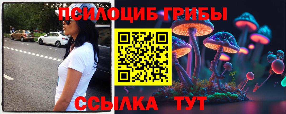 Псилоцибиновые грибы Psilocybine cubensis  Вход с VPN  Екатеринбург 
